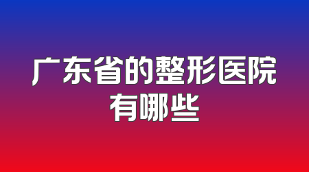 广东省的整形医院有哪些