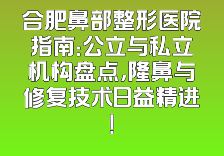合肥鼻部整形医院指南：公立与私立机构盘点，隆鼻与修复技术日益精进！