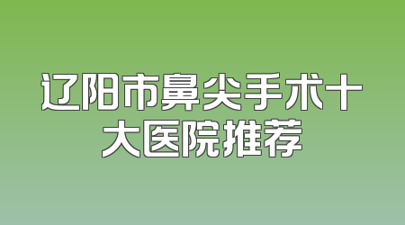 辽阳市鼻尖手术十大医院推荐