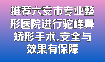 推荐六安市专业整形医院进行驼峰鼻矫形手术，安全与效果有保障