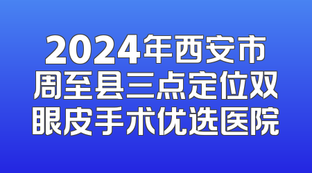 2024年西安市周至县三点定位双眼皮手术优选医院
