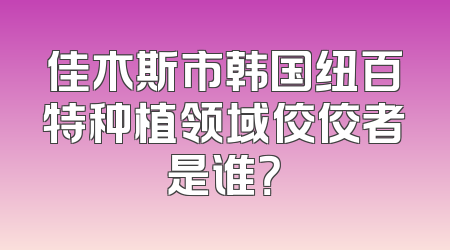 佳木斯市韩国纽百特种植领域佼佼者是谁？