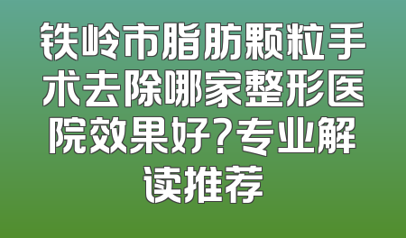 铁岭市脂肪颗粒手术去除哪家整形医院效果好？专业解读推荐