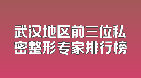 武汉地区前三位私密整形专家排行榜