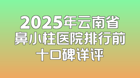 2025年云南省鼻小柱医院排行前十口碑详评
