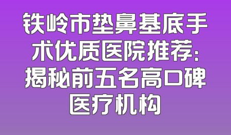 铁岭市垫鼻基底手术优质医院推荐：揭秘前五名高口碑医疗机构