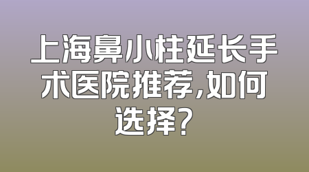 上海鼻小柱延长手术医院推荐，如何选择？