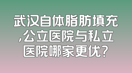 武汉自体脂肪填充，公立医院与私立医院哪家更优？