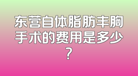 东营自体脂肪丰胸手术的费用是多少？