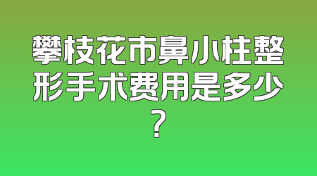 攀枝花市鼻小柱整形手术费用是多少？