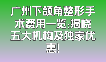 广州下颌角整形手术费用一览：揭晓五大机构及独家优惠！