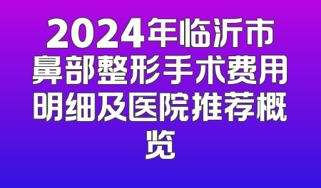 2024年临沂市鼻部整形手术费用明细及医院推荐概览