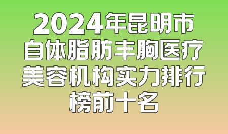 2024年昆明市自体脂肪丰胸医疗美容机构实力排行榜前十名