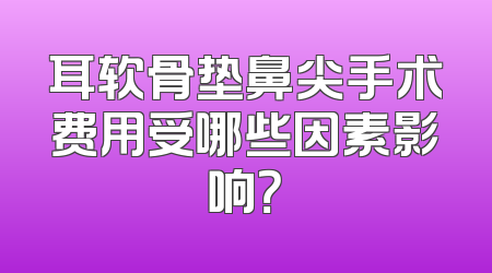 耳软骨垫鼻尖手术费用受哪些因素影响？