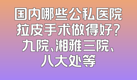 国内哪些公私医院拉皮手术做得好？九院、湘雅三院、八大处等