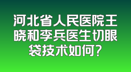 河北省人民医院王晓和李兵医生切眼袋技术如何？