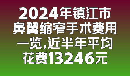 2024年镇江市鼻翼缩窄手术费用一览，近半年平均花费13246元