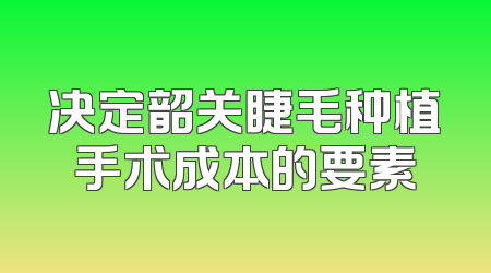 决定韶关睫毛种植手术成本的要素