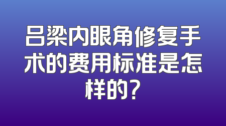 吕梁内眼角修复手术的费用标准是怎样的？