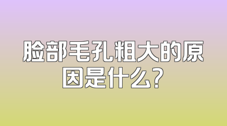 脸部毛孔粗大的原因是什么？