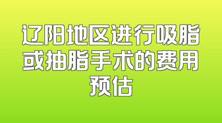辽阳地区进行吸脂或抽脂手术的费用预估