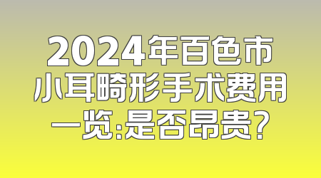 2024年百色市小耳畸形手术费用一览：是否昂贵？