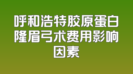 呼和浩特胶原蛋白隆眉弓术费用影响因素
