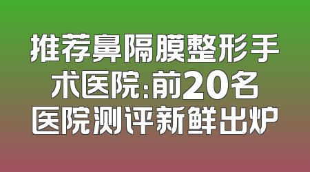 推荐鼻隔膜整形手术医院：前20名医院测评新鲜出炉