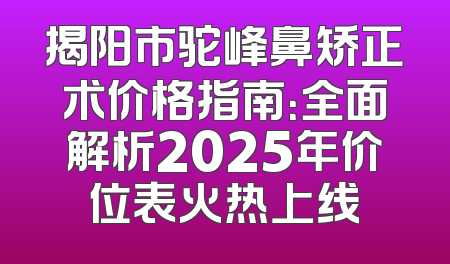 揭阳市驼峰鼻矫正术价格指南：全面解析2025年价位表火热上线