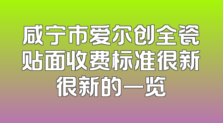 咸宁市爱尔创全瓷贴面收费标准很新很新的一览