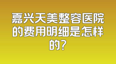 嘉兴天美整容医院的费用明细是怎样的？