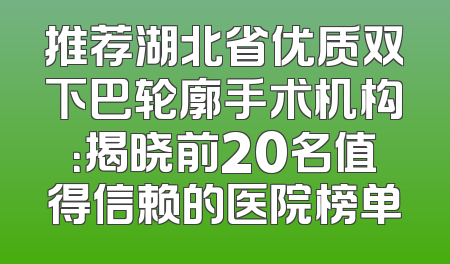 推荐湖北省优质双下巴轮廓手术机构：揭晓前20名值得信赖的医院榜单