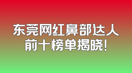东莞网红鼻部达人前十榜单揭晓！