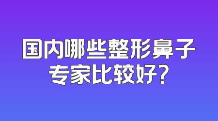 国内哪些整形鼻子专家比较好？