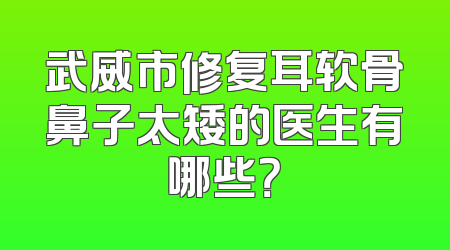 武威市修复耳软骨鼻子太矮的医生有哪些？
