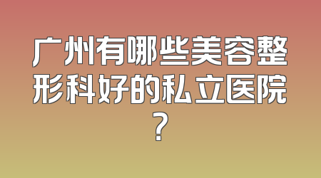 广州有哪些美容整形科好的私立医院？