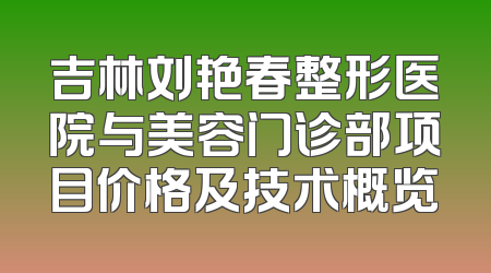 吉林刘艳春整形医院与美容门诊部项目价格及技术概览