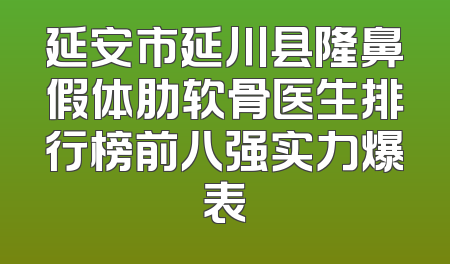 延安市延川县隆鼻假体肋软骨医生排行榜前八强实力爆表