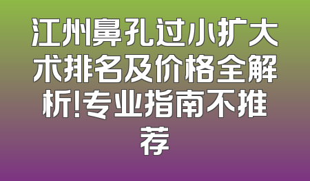 江州鼻孔过小扩大术排名及价格全解析！专业指南不推荐