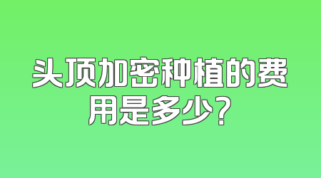 头顶加密种植的费用是多少？