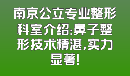 南京公立专业整形科室介绍：鼻子整形技术精湛，实力显著！