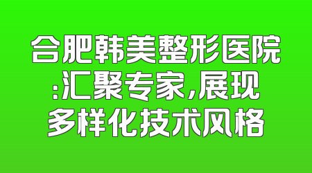 合肥韩美整形医院：汇聚专家，展现多样化技术风格