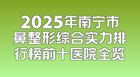 2025年南宁市鼻整形综合实力排行榜前十医院全览