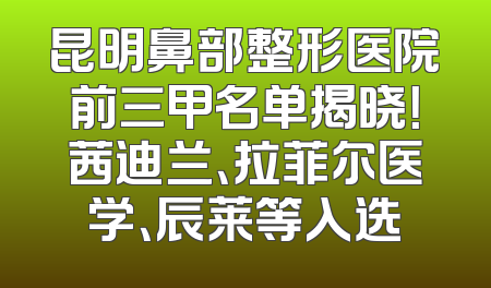 昆明鼻部整形医院前三甲名单揭晓！茜迪兰、拉菲尔医学、辰莱等入选