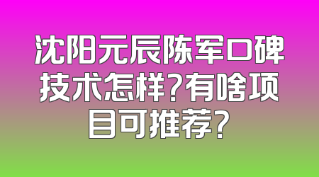 沈阳元辰陈军口碑技术怎样？有啥项目可推荐？