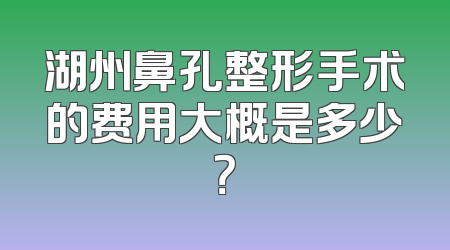 湖州鼻孔整形手术的费用大概是多少？
