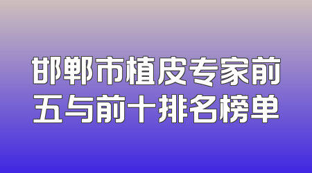 邯郸市植皮专家前五与前十排名榜单