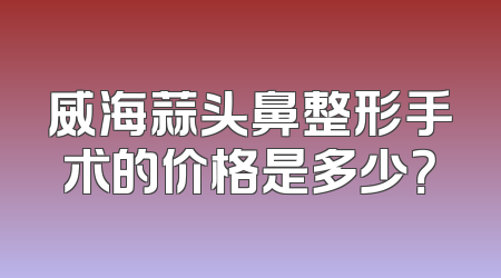 威海蒜头鼻整形手术的价格是多少？
