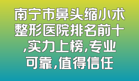 南宁市鼻头缩小术整形医院排名前十，实力上榜，专业可靠，值得信任