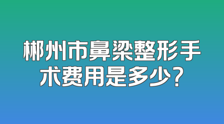 郴州市鼻梁整形手术费用是多少？